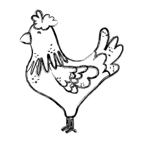 Grunge Lindo Gallo Granja Animal Icono Vector Ilustración — Vector de stock