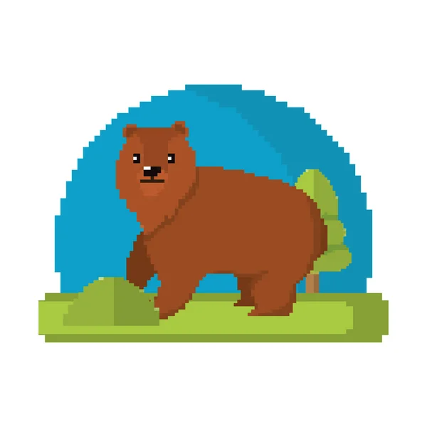 Piksele Niedźwiedź Dzikie Zwierzę Krajobraz Wektor Ilustracja — Wektor stockowy