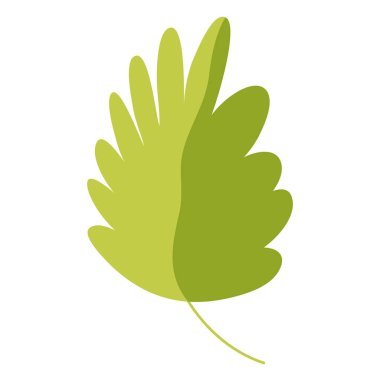 Doğa tropikal yaprak botanik bitki vektör çizim