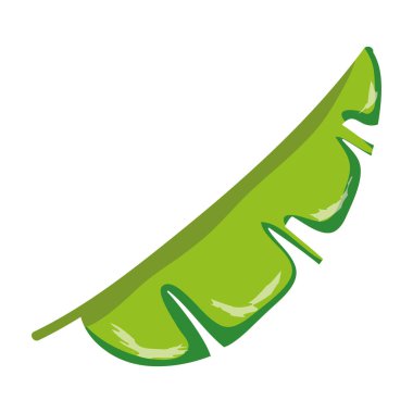 tropikal şube egzotik bitki stil vektör çizim