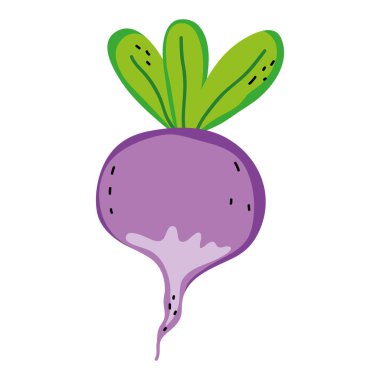 taze soğan sağlıklı organik sebze vektör çizim
