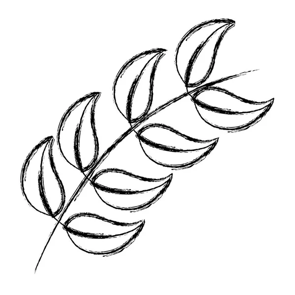 Grunge Přírodní Větve Tropické Listy Styl Vektorové Ilustrace — Stockový vektor