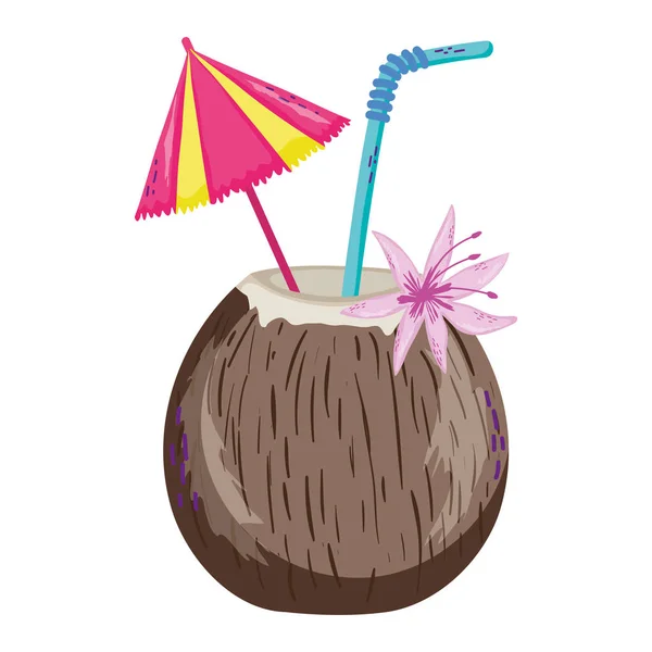 傘や花のベクトル図と新鮮なココナッツ飲料 — ストックベクタ