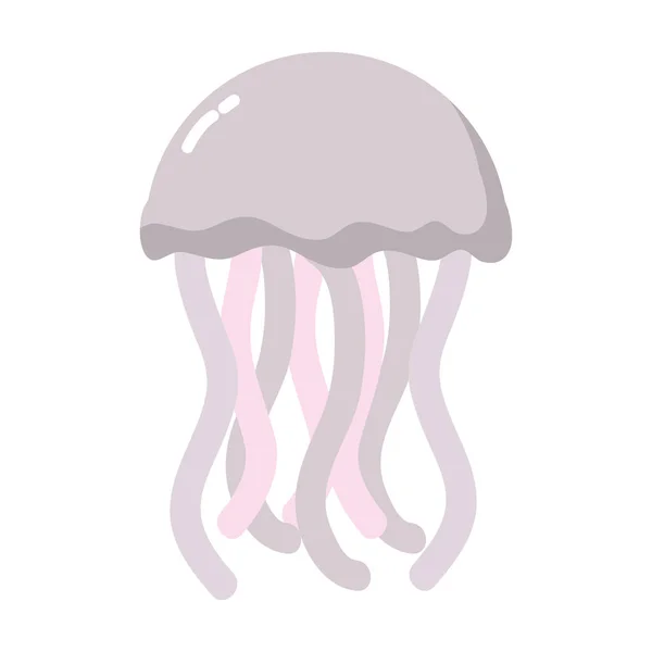 Animal Marino Medusas Exóticas Con Tentáculos Vector Ilustración — Vector de stock