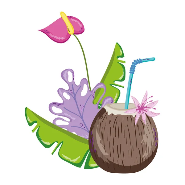 Plantas Tropicais Com Ilustração Vetor Bebida Coco Exótico — Vetor de Stock
