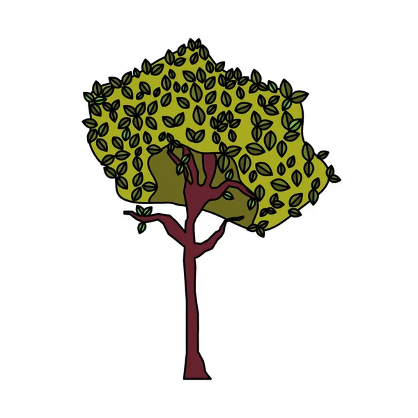 Couleur Exotique Arbre Botanique Tige Nature Vecteur Illustration — Image vectorielle