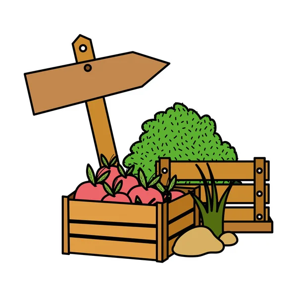 Manzanas Color Frutas Dentro Caja Madera Grillage Vector Ilustración — Vector de stock