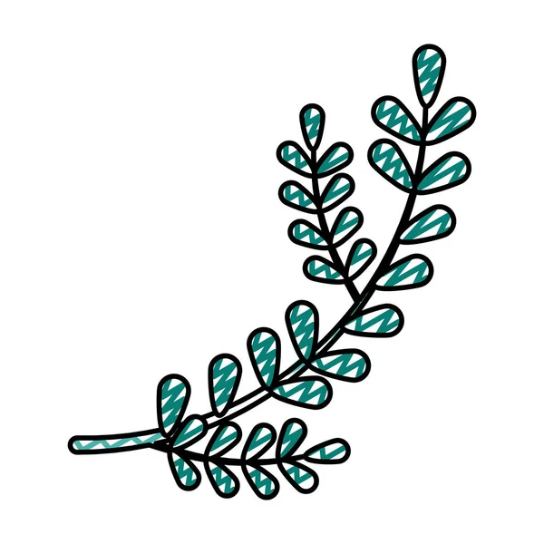Gribouille Branches Exotiques Feuilles Tropicales Illustration Vectorielle Style — Image vectorielle