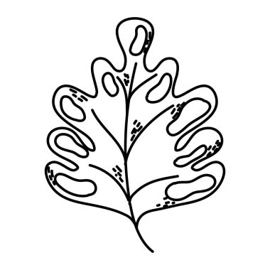 satır botanik güzellik yaprak egzotik tarzı vektör çizim