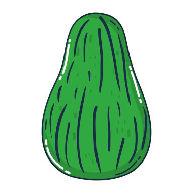 lezzetli avokado meyve organik vitamin vektör çizim