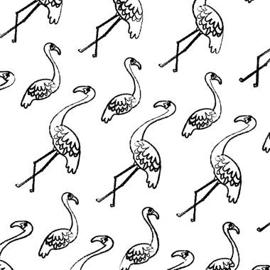 Grunge egzotik Flaman kuş hayvan arka plan vektör çizim