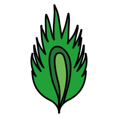 renk tropikal yaprak botanik doğal bitki vektör çizim