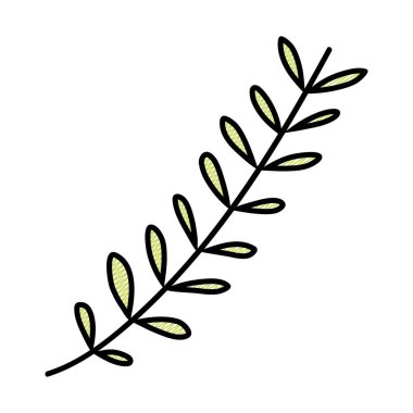 doğal bitki egzotik şube yaprakları vektör çizim doodle