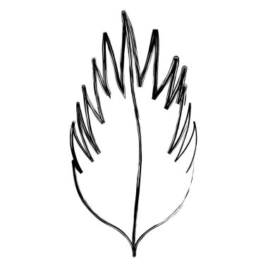 Grunge doğa botanik yaprak tropikal bitki vektör çizim