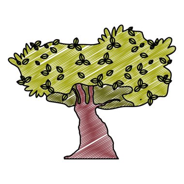 doğal ağaç tropikal bitki sapı vektör çizim doodle