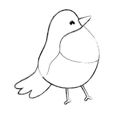 Grunge güzellik tropik kuş egzotik hayvan vektör çizim