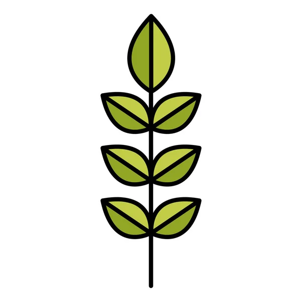 Färg Tropisk Växt Grenar Lämnar Stil Vektorillustration — Stock vektor