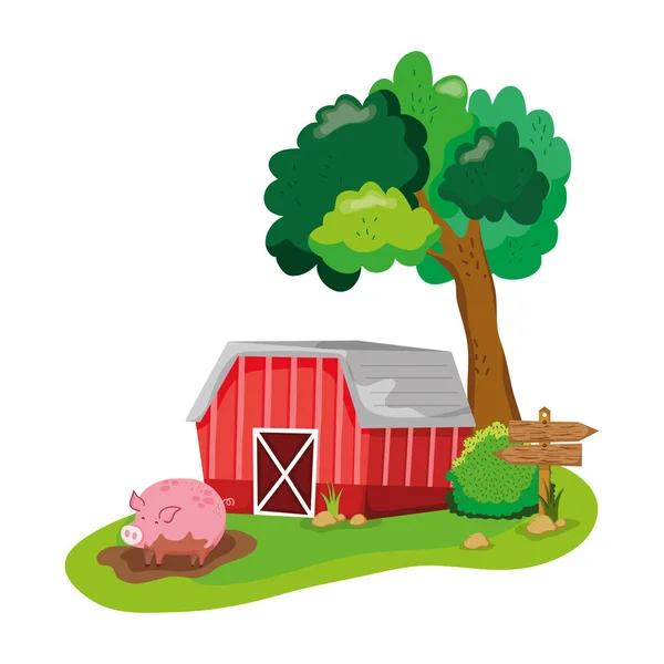 Dům Farma Prase Zvíře Bažině Vektorové Ilustrace — Stockový vektor