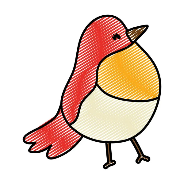 doodle beauty tropical bird exotic animal vector illustration