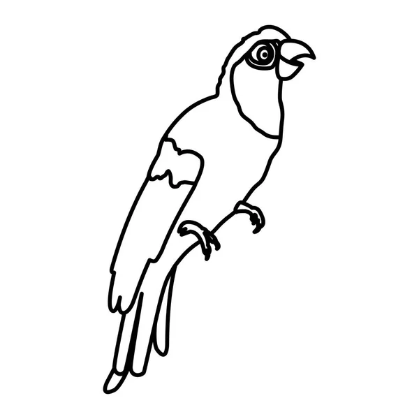 Ilustracja Wektorowa Zwierząt Stylu Linii Tropikalna Papuga Ptak — Wektor stockowy