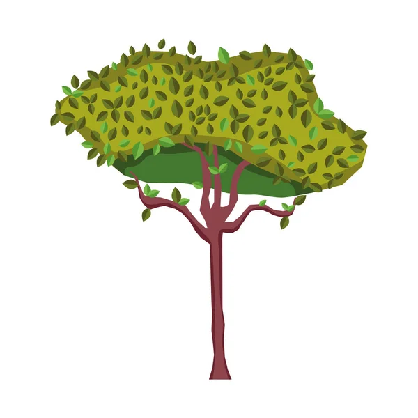 Naturbaum Mit Exotischem Stiel Botanische Vektorillustration — Stockvektor