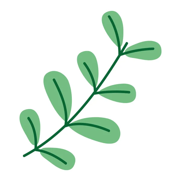 エキゾチックなブランチ植物の葉ベクター イラスト — ストックベクタ