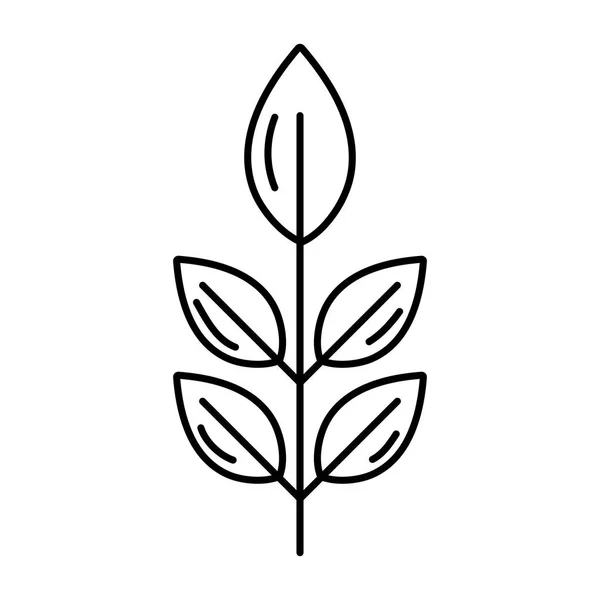 Linie Exotisch Schön Pflanze Blätter Stil Vektor Illustration — Stockvektor