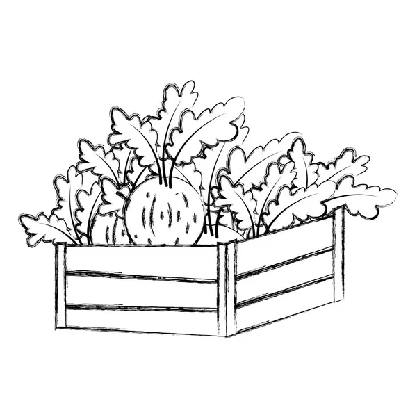 Grunge Zdrowe Cebula Warzywa Wewnątrz Kosz Drewno Ilustracja Wektorowa — Wektor stockowy