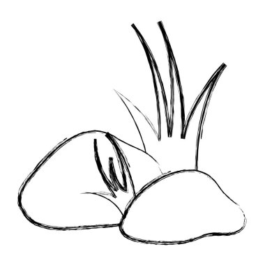 doku ve çim bitki vektör çizim grunge doğal kayalar