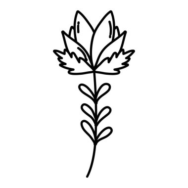 satır egzotik çiçek bitki doğa stil vektör çizim