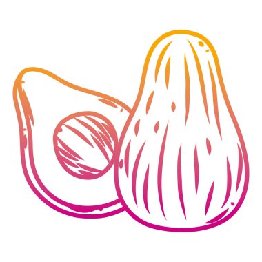 bozulmuş çizgi dilimi avokado lezzetli organik meyve vektör çizim