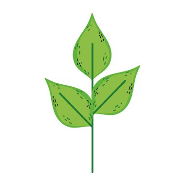 egzotik bitki doğa yaprakları tasarlamak vektör