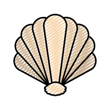 Güzellik kabuk doğa manine stil vektör çizim doodle