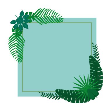 dalları bitki egzotik yaprakları vektör çizim ile kare