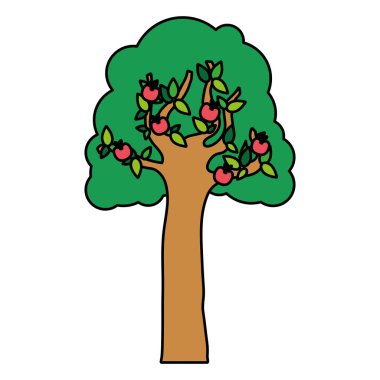 renk ağaç SAP elma sağlıklı meyve vektör çizim ile