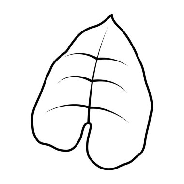 satır şirin doğa yaprak egzotik tarzı vektör çizim