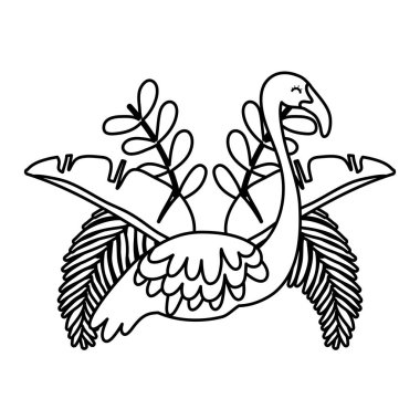 satır tropik Flaman ve egzotik bitkiler yaprakları vektör çizim