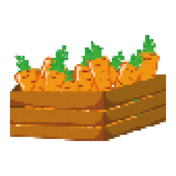 Illustration Vectorielle Panier Bois Légumes Carottes Sains Pixellisés — Image vectorielle