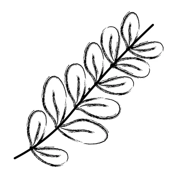 Grunge Natürlicher Zweig Blätter Pflanzenstil Vektor Illustration — Stockvektor