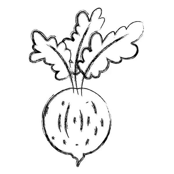 Гранж Здоровый Лук Свежие Органические Овощи Векторные Иллюстрации — стоковый вектор