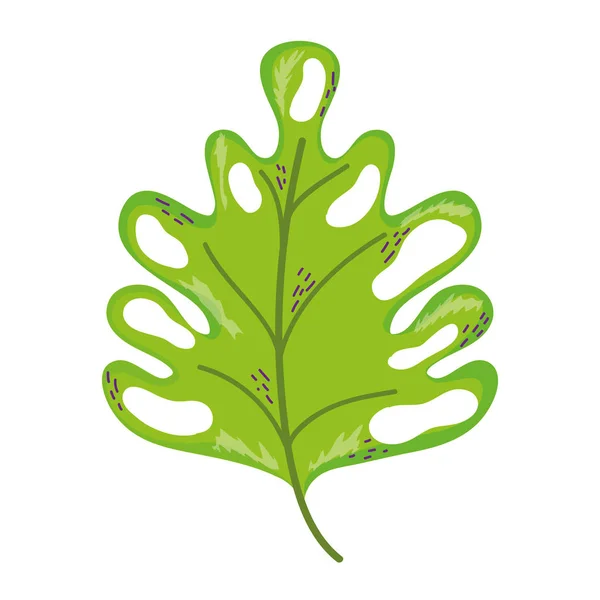 植物学美丽的叶子异国情调的风格矢量插图 — 图库矢量图片