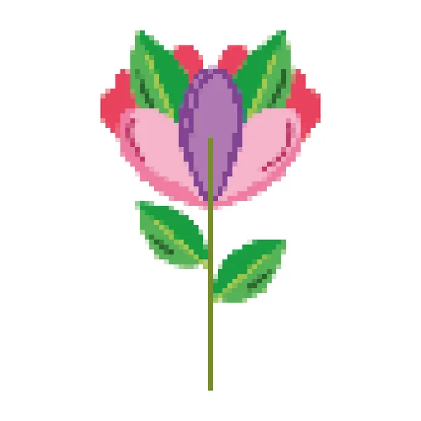 Pixelada Belleza Exótica Flor Planta Hojas Vector Ilustración — Vector de stock