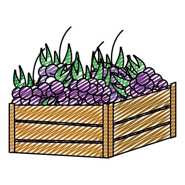 Owoce Pyszne Winogrona Doodle Wewnątrz Kosz Drewno Ilustracja Wektorowa — Wektor stockowy