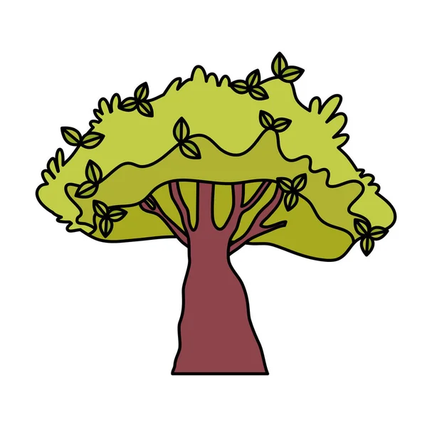 Kleur Natuurlijke Tropische Boom Stengel Botanic Vectorillustratie — Stockvector