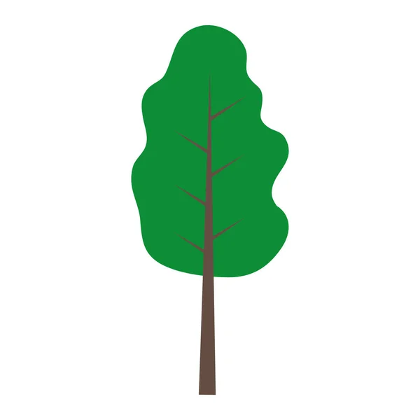 Χρώμα Φύσης Δέντρου Μίσχος Φύλλα Κλαδιά Εικονογράφηση Διάνυσμα — Διανυσματικό Αρχείο