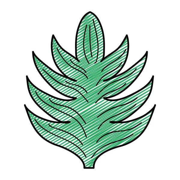 Doodle Εξωτικά Φύλλα Φύση Φυτικών Στυλ Εικονογράφηση Φορέα — Διανυσματικό Αρχείο
