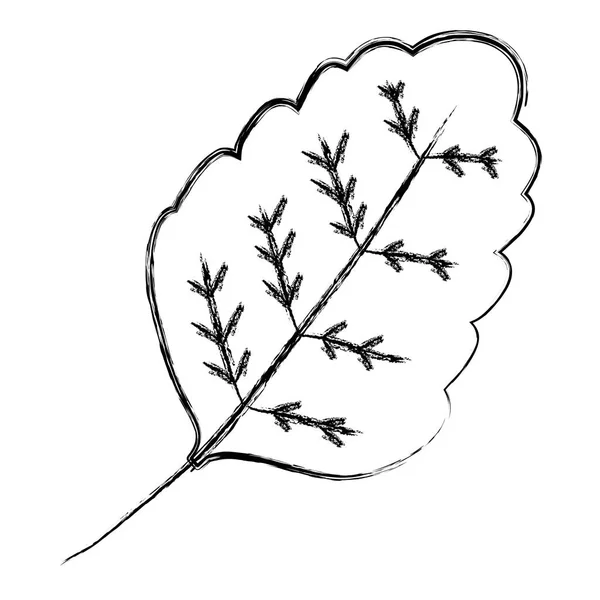 Illustration Vectorielle Style Végétal Botanique Feuilles Exotiques Grunge — Image vectorielle
