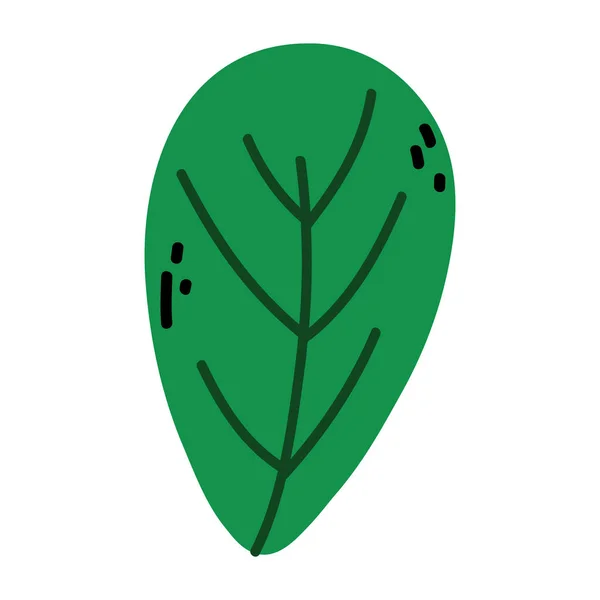Векторная Иллюстрация Стиле Тропических Листьев Растений — стоковый вектор