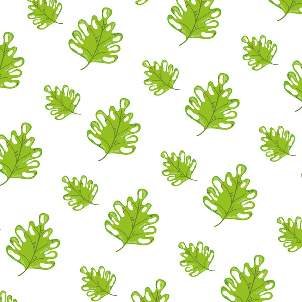 Botany Beauty Leaf Exotic Background Vector Illustration — Stock Vector