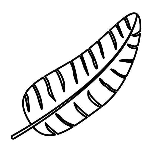 ライン植物熱帯枝の葉ベクター イラスト — ストックベクタ